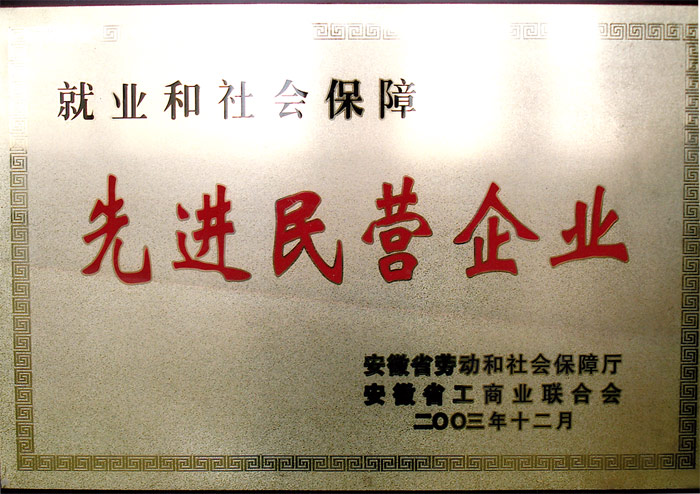 先進民營企業(yè)